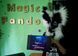 Magic Box